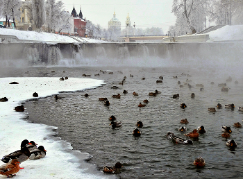 В морозный день утки в полынье / В морозный день утки в полынье