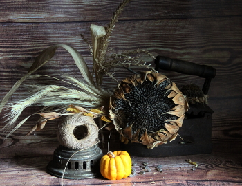 Натюрморт / Сельский натюрморт