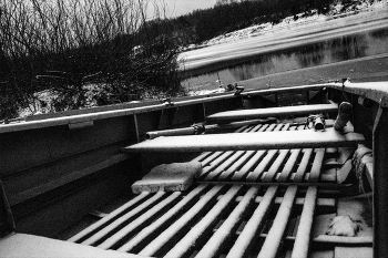 Жизнь вокруг / ***