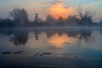 Лето, утро. / Озеро Студёное.