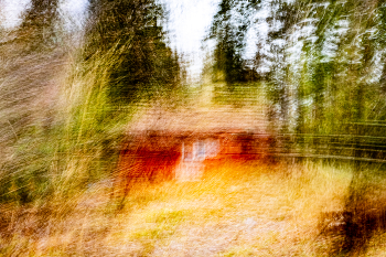 Домик среди леса / Старенький