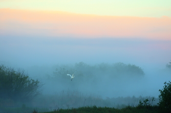 &nbsp; / утренняя акварель
