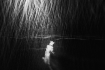 Жизнь вокруг / ***