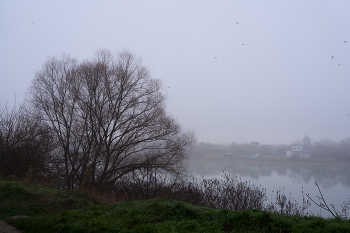 картина Грачи прилетели / утро в декабре