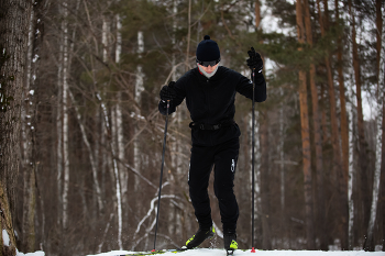 Лесной дозор. / Лесной дозор.