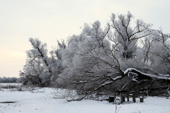Пасмурное утро. / ***