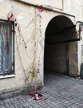 Осень / Санкт-Петербург