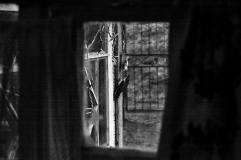 Жизнь вокруг / ***