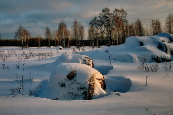 Зимним днём. / Томская область.