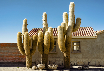 Уюни / Пыльный городок