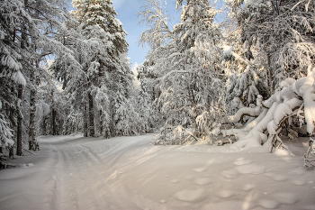 Белоснежная зима / ***