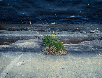 На чужой планете. / ***