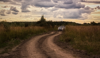 По августу вечерние просёлки / Подмосковье, август 2020 год.