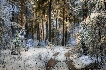По лесной дорожке. / Интимный пейзаж.