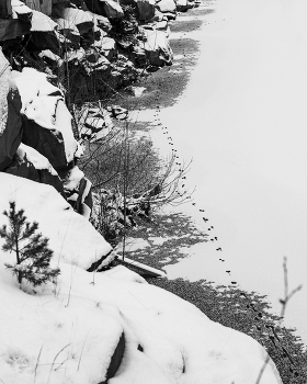 Следы неведомых зверей / ***