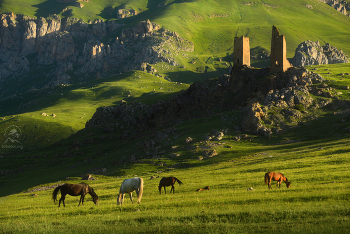 "Два стража" / Халгон, Северная Осетия