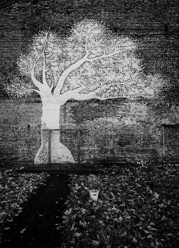 Иггдрасиль / ***