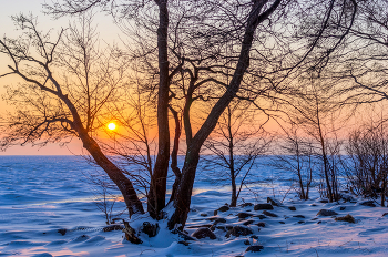 Финский залив. / ***