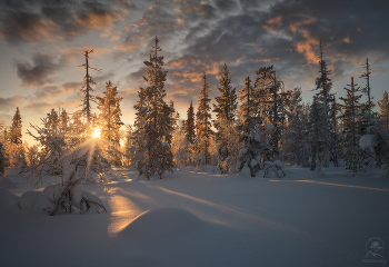 На сопке / Кольский полуостров