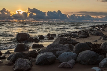Осенним вечером........... / Санкт-Петербург. Репино. Ноябрь