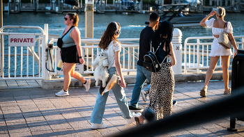 ... бедный кот / ***