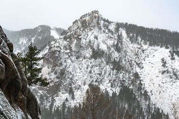 Красноярский природный заповедник "Столбы" / Красноярск
