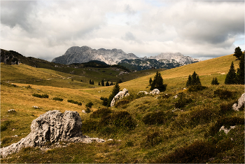 &nbsp; / Словения