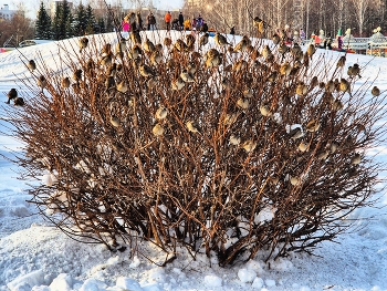 Присели отдохнуть )) / Налетались, отдыхать пора !