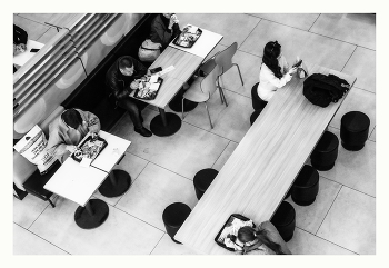 Паутина / В плену паутины