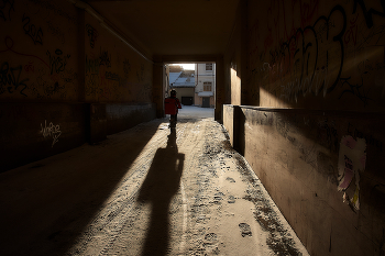 Длинные зимние тени (-30) / ***