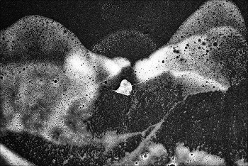 этюдъ с листочком / берег врр непоздней оченью