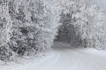 Добро пожаловать в сказку зимнего леса! / Красноярский край