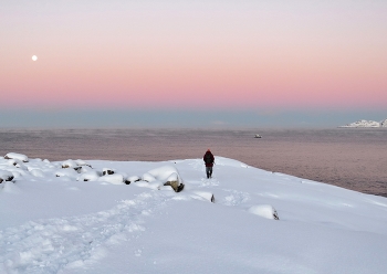 по берегу Баренцева... / Териберка