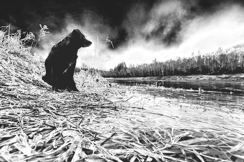 Жизнь вокруг / ***