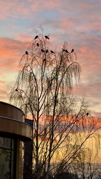 И снова закат / Приятно снять такое 📸
