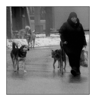 ...из "Пятёрочки" / плановый обход трёх поселковых магазинов