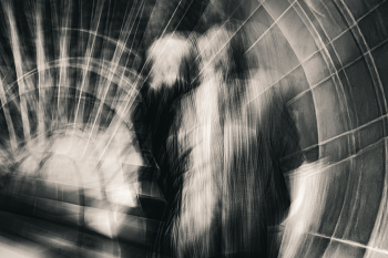 В консерватории / Наблюдение за наблюдающими