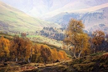 Дали ... / Архыз | Долина Пхии