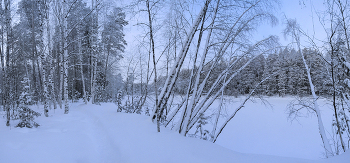 Зима чиста, морозна, и приятна... / ...