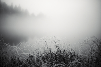 утро седое / ....