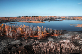 Родные просторы. / Тульская обл.