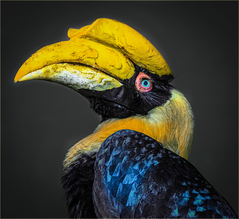 Какие перышки! какой носок! И, верно, ангельский быть должен голосок! / Какие перышки! какой носок!
И, верно, ангельский быть должен голосок!