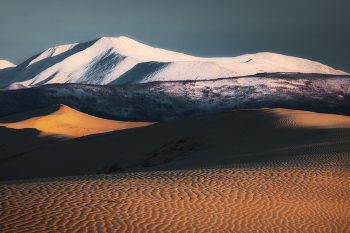 Контрасты / Забайкальский край. Чарские пески. 03 мая 2024