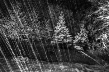 Жизнь вокруг / ***