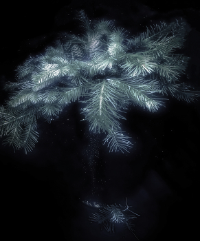 С наступающим! / Новогодний натюрморт.