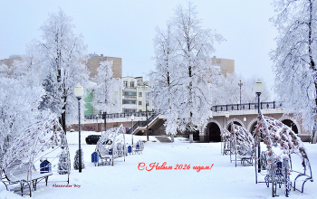 Новогодняя / Всех с Новым 2026 годом! Мира, добра, здоровья!