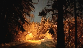 с новым годом! / ***