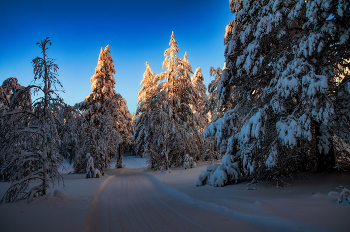 Вечерняя трасса / ***