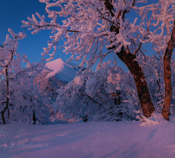 Розовые свет / Морозный закат.
На склоне горы Бештау. Кавминводы. 
Из фотопроекта «Открывая Ставрополье».