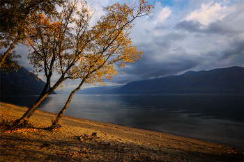 Утро на озере. / Утро нв Телецком озере.ЮБТО. Горный Алтай_сентябрь_2025г